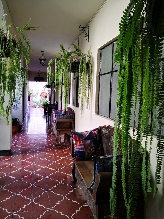 Hospedaje El Viajero Antigua Lli 외부 사진
